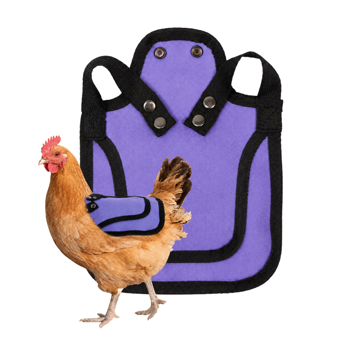 Nesty Purple Chicken Saddle