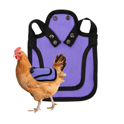 Nesty Purple Chicken Saddle