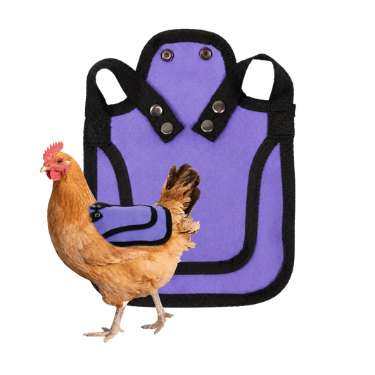 Nesty Purple Chicken Saddle