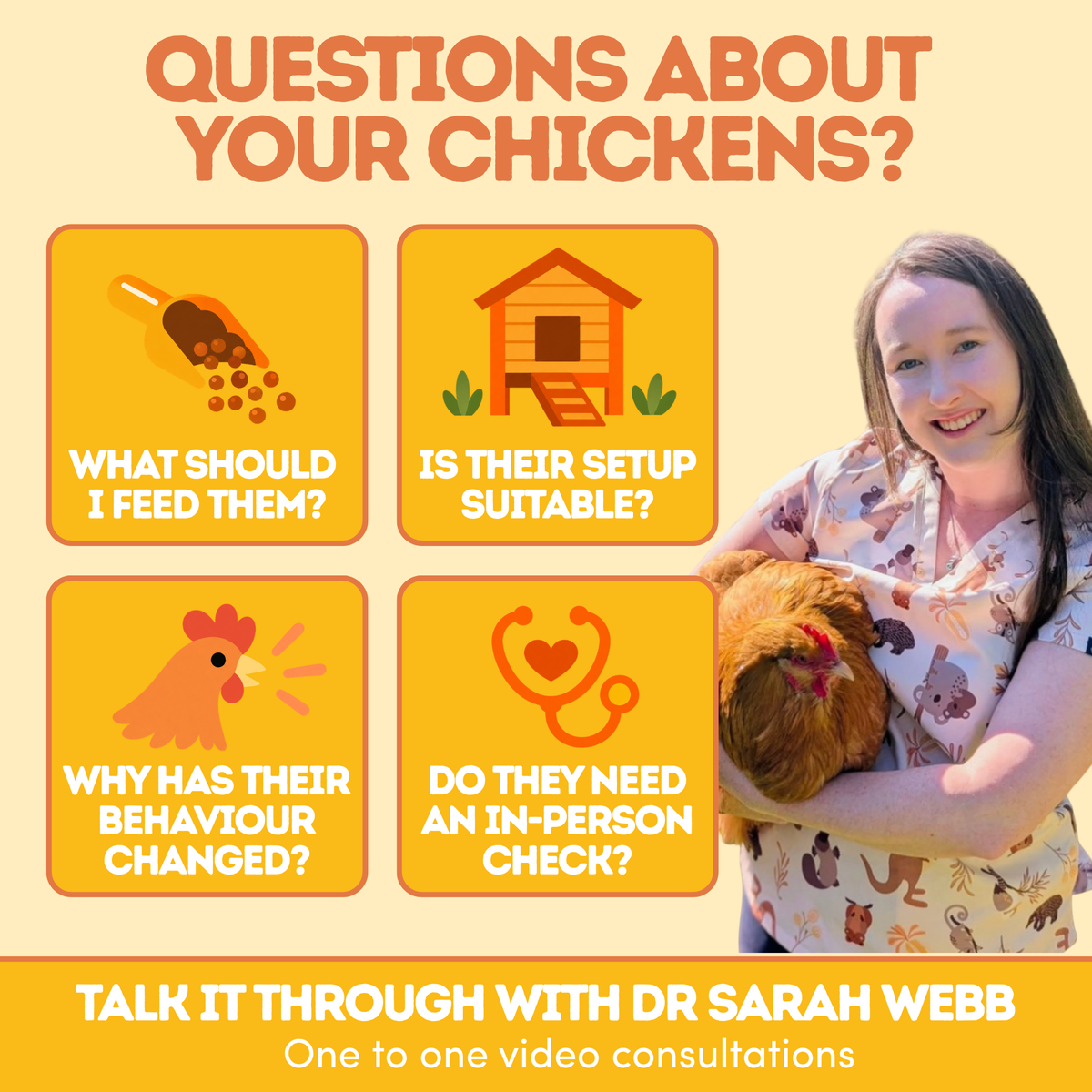 Vet Consult with Dr Sarah Webb