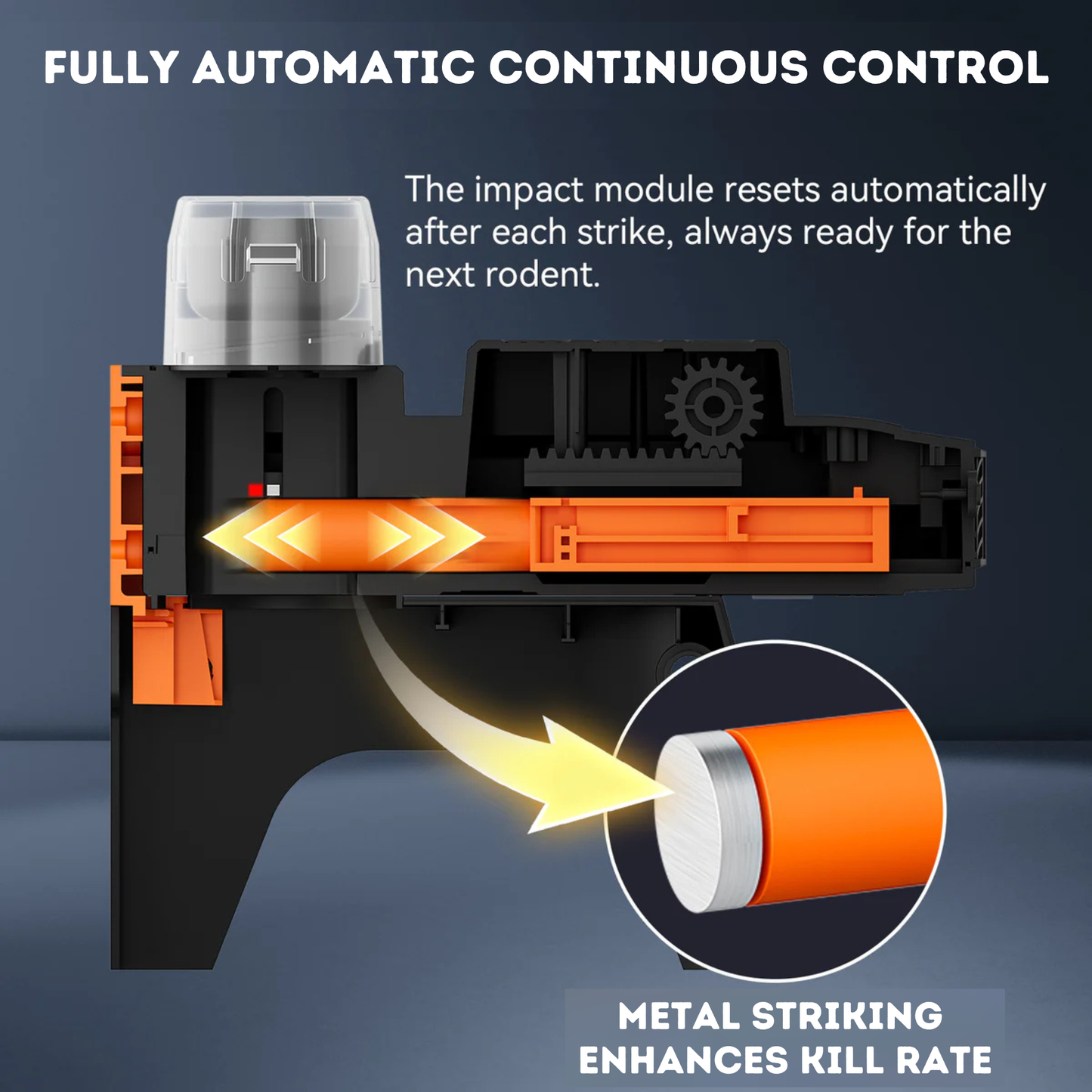 Automatic Rat Trap with Safety Tunnel