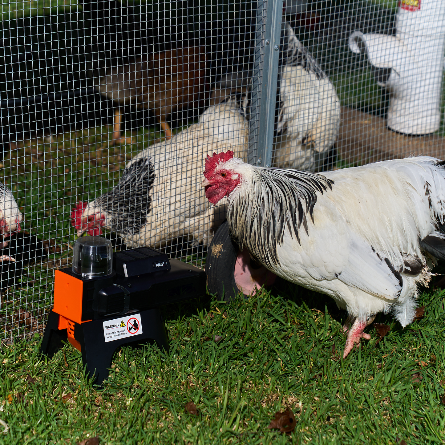 Automatic Rat Trap with Safety Tunnel