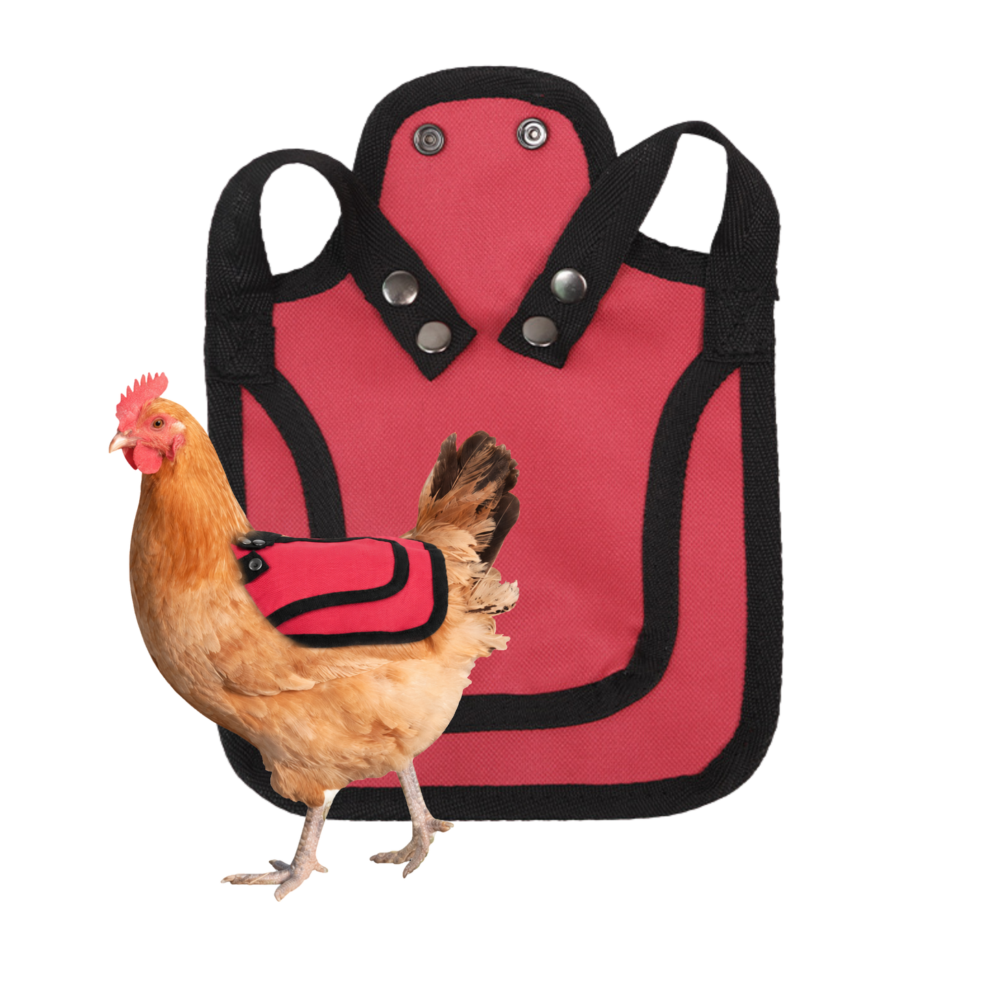 Nesty Red Chicken Saddle