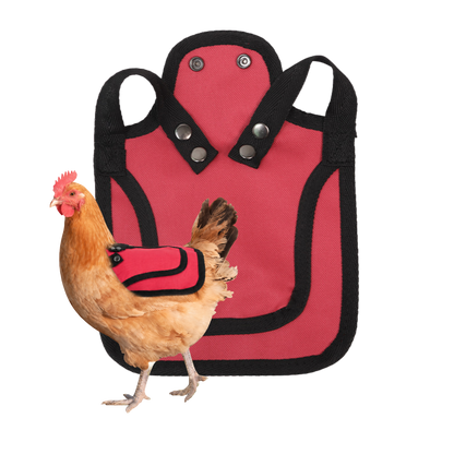Nesty Red Chicken Saddle