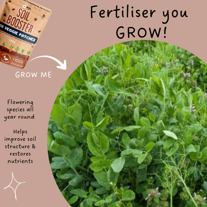 Soil Booster - Veggie Garden Cover Crop 950g