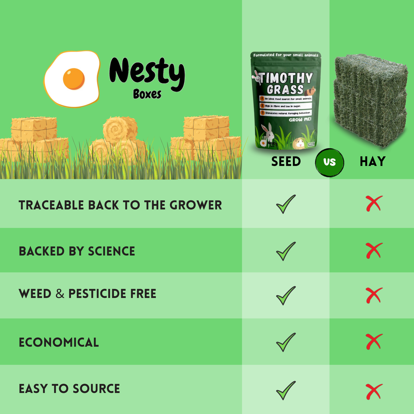 Timothy Hay Grass Seeds