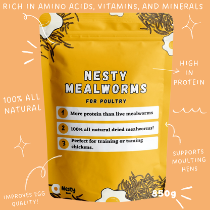 Nesty Dried Mealworms