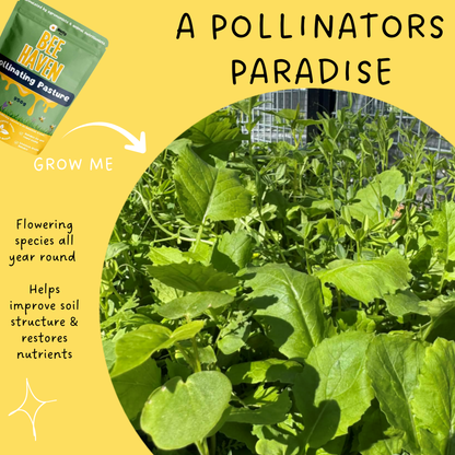 Bee Haven Pollinating Pasture Blend 950g