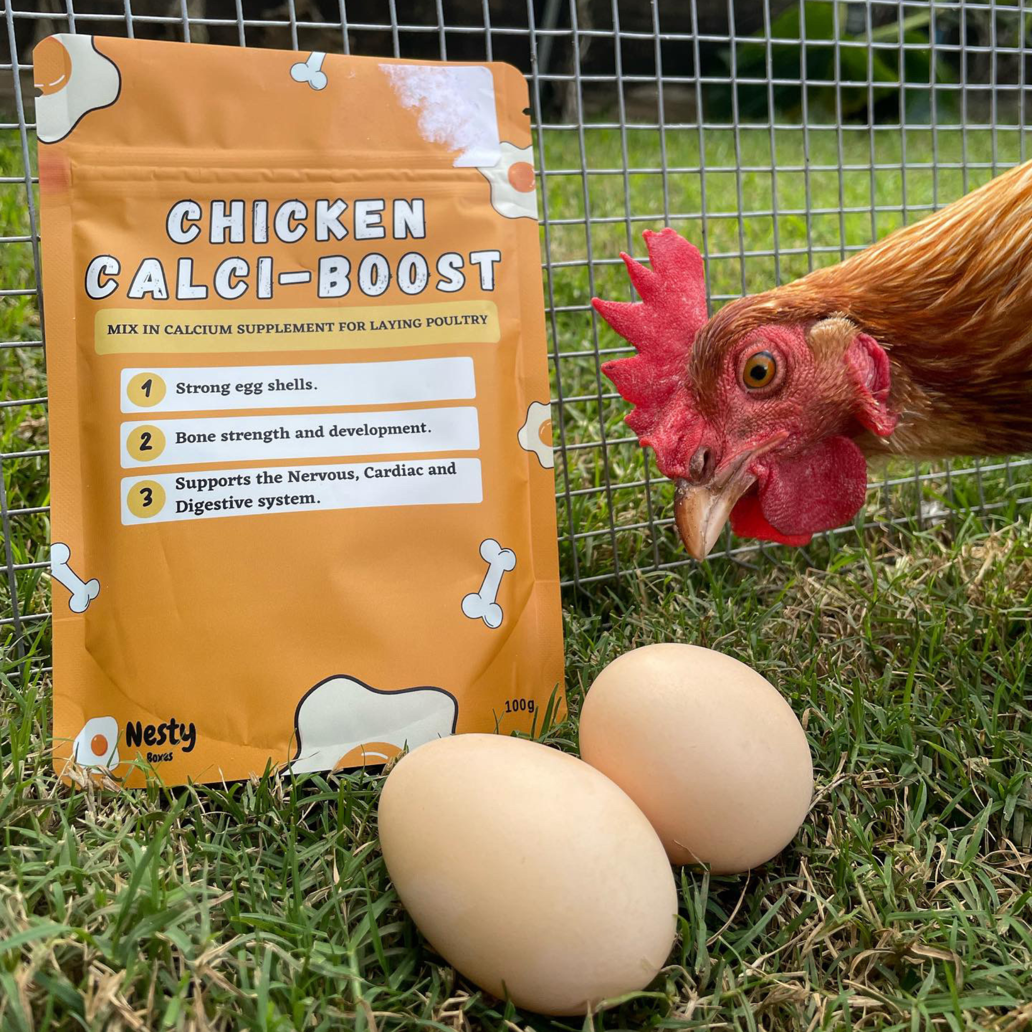 Nesty Chicken Calci-Boost
