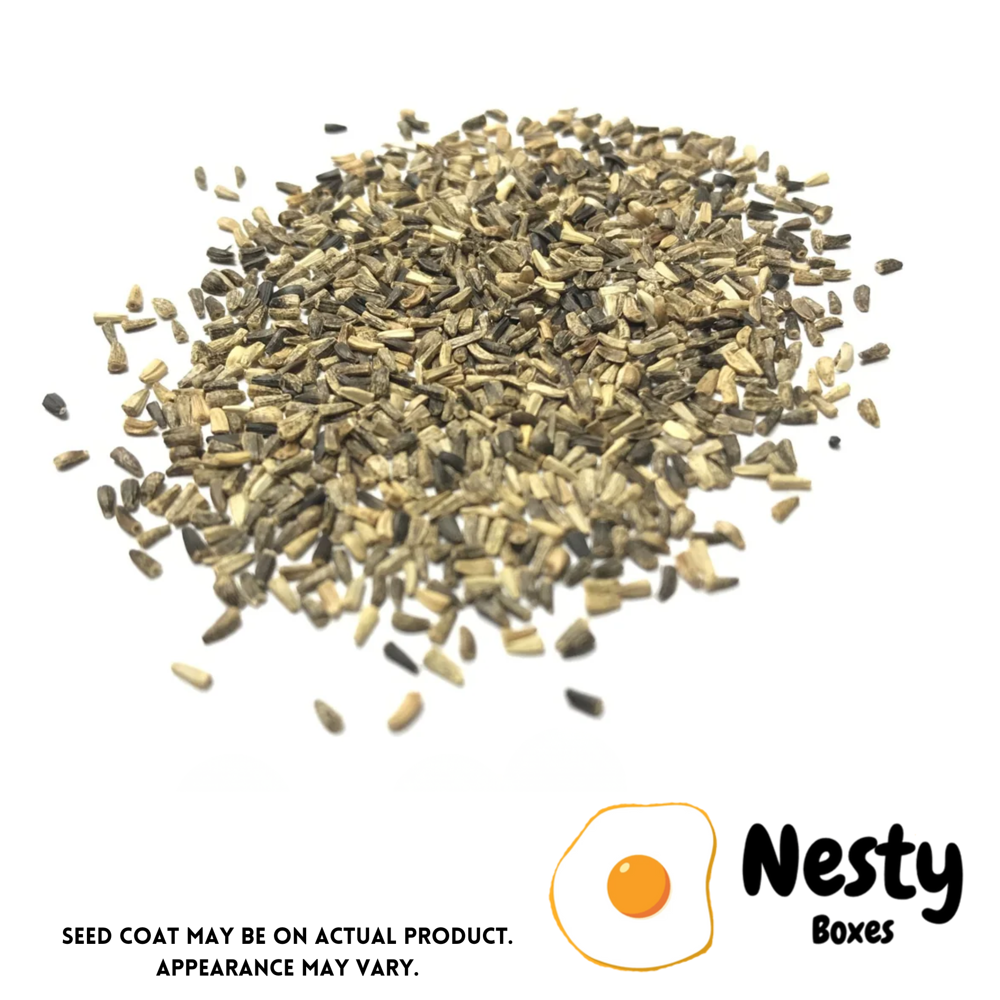 Nesty Chicken Chicory Sowing Seeds