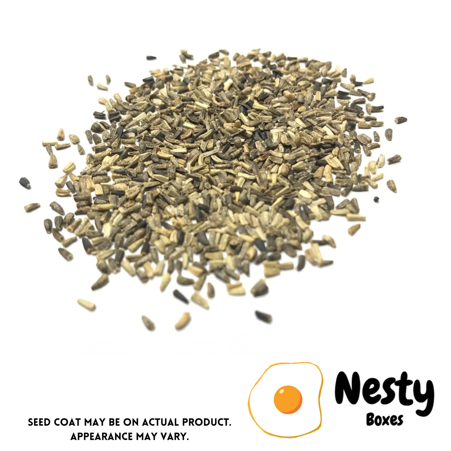 Nesty Chicken Chicory Sowing Seeds