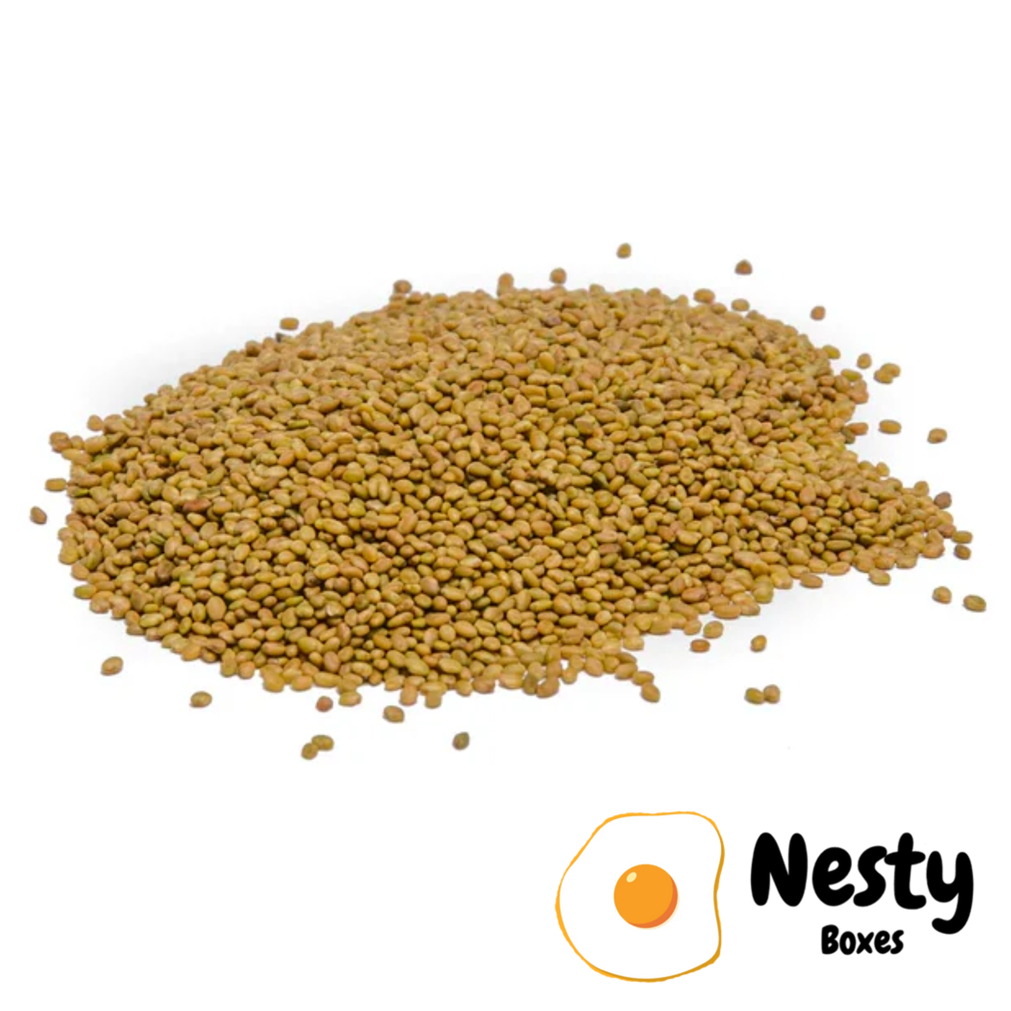 Nesty Chicken Clover Sowing Seeds