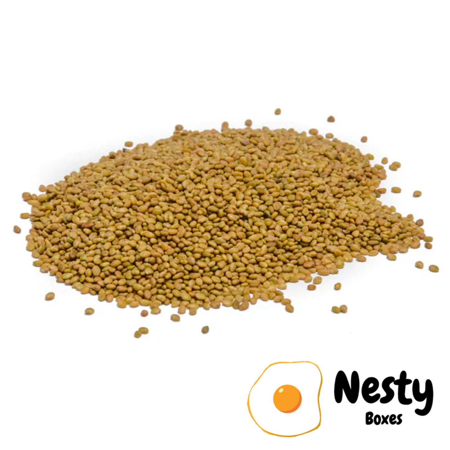 Nesty Chicken Clover Sowing Seeds