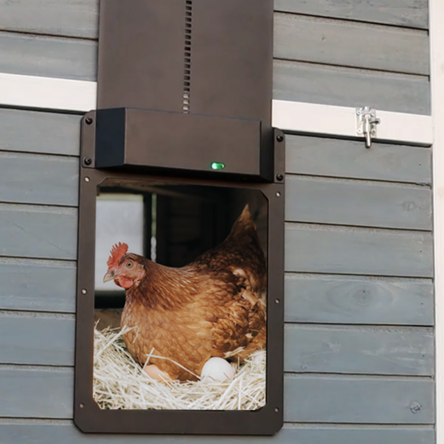 Nesty Smart Automatic Coop Door