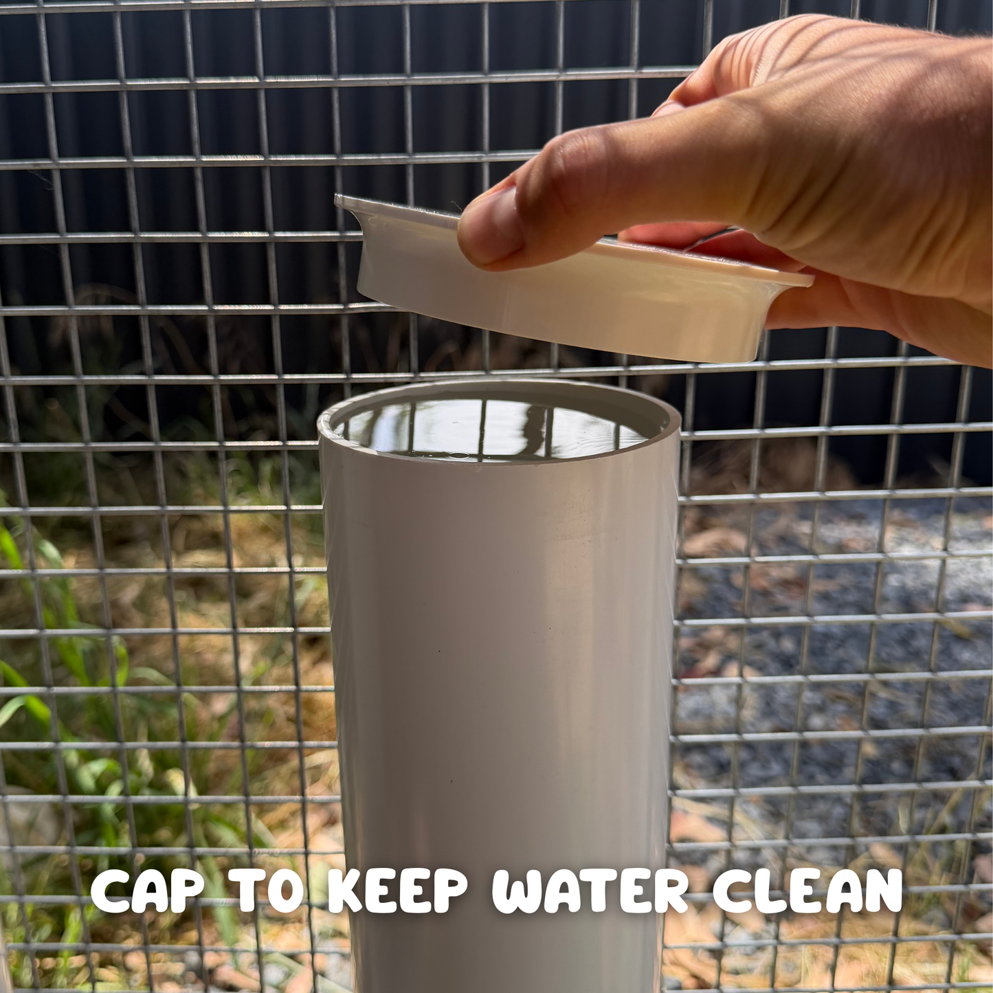 Chicken Feeder & Drinker Bundle