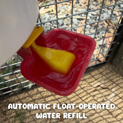 Chicken Feeder & Drinker Bundle