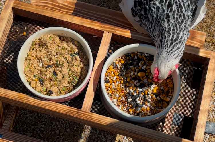 Feed/safe Nesty Everything Bag for Chickens | 9 Feed Packs – Nesty Boxes