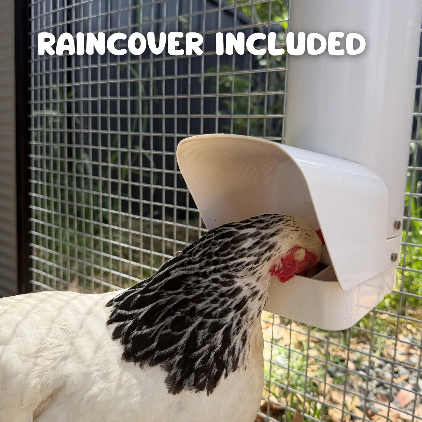 Nesty Single Chicken Feeder