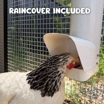 Nesty Single Chicken Feeder