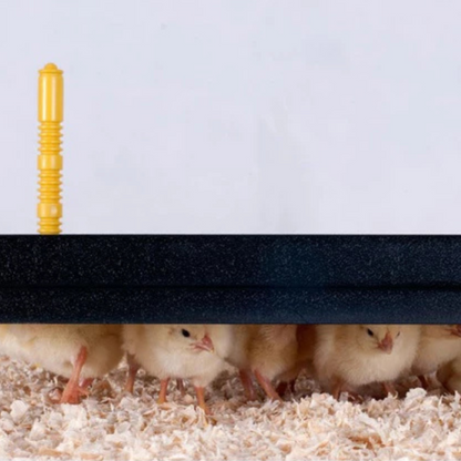 Nesty Chick Brooder Heat Plate - 25cm x 25cm