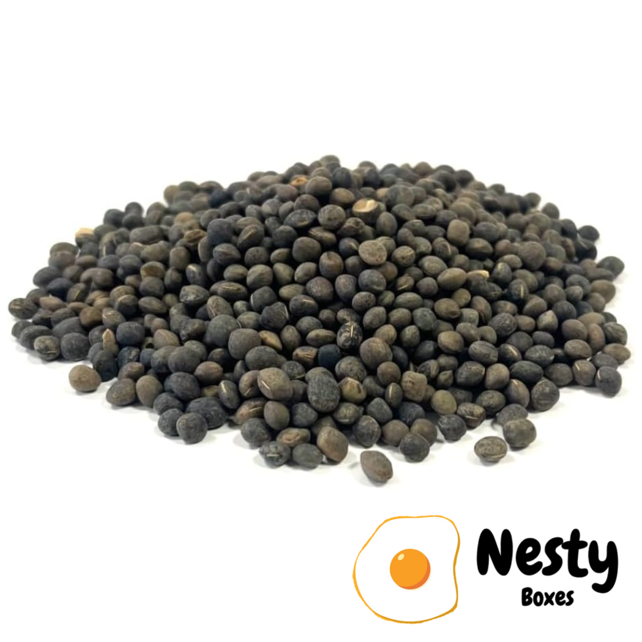 Nesty Chicken Vetch Sowing Seeds