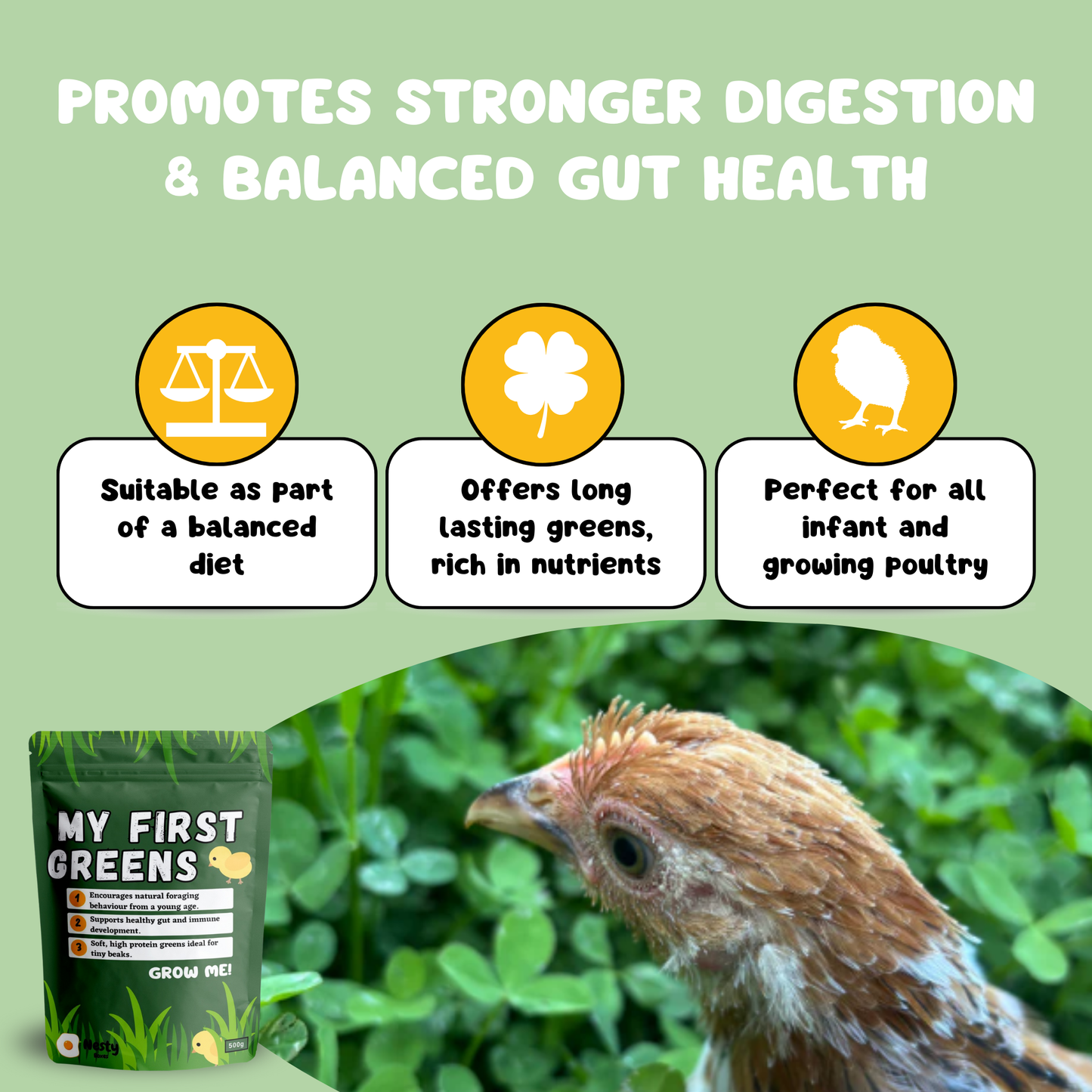 My First Greens Seed Blend