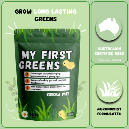 My First Greens Seed Blend