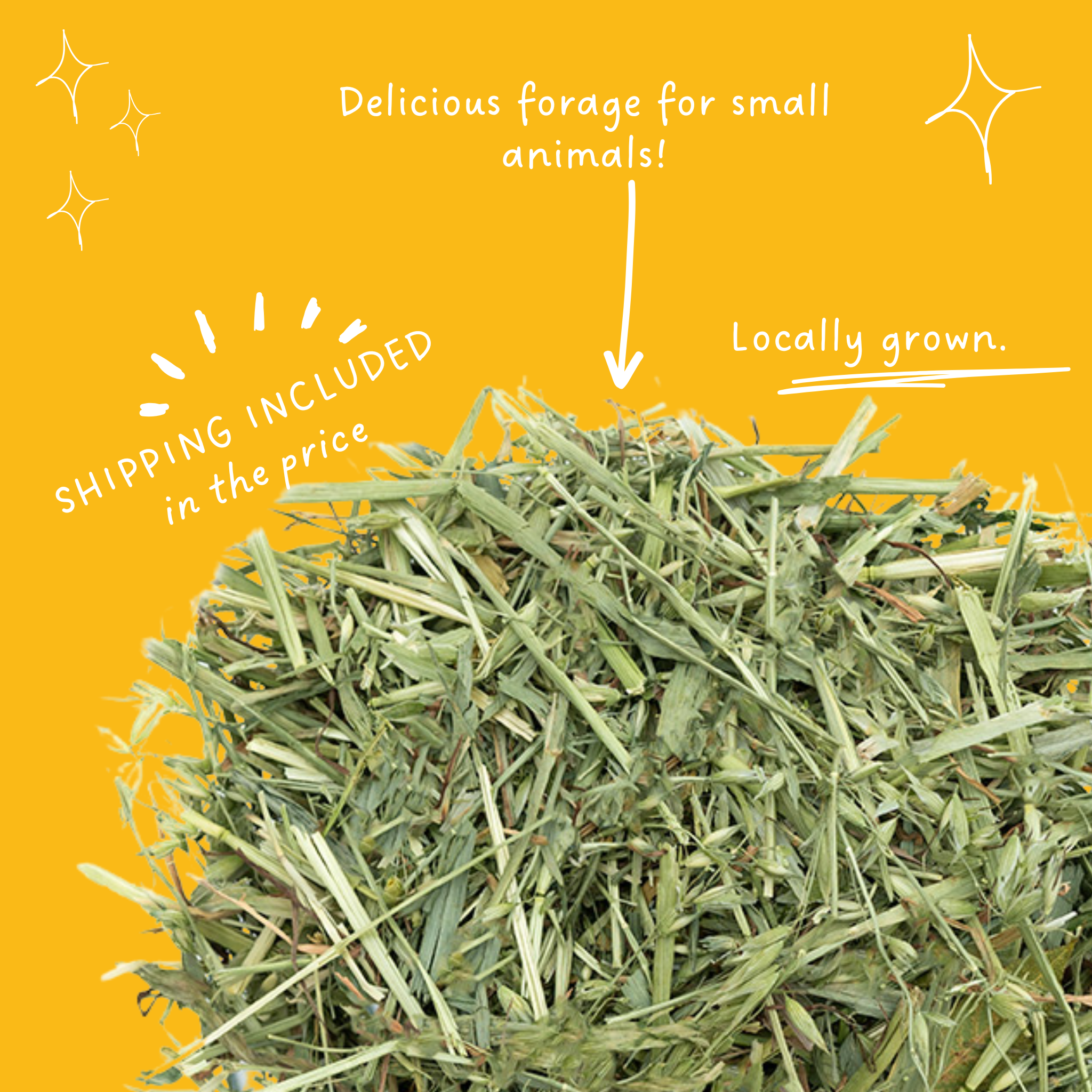 Oaten Hay for Guinea Pigs & Rabbits 1kg