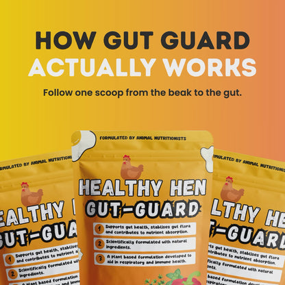 Healthy Hen Gut-Guard