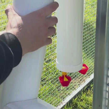 Nesty Single Chicken Feeder