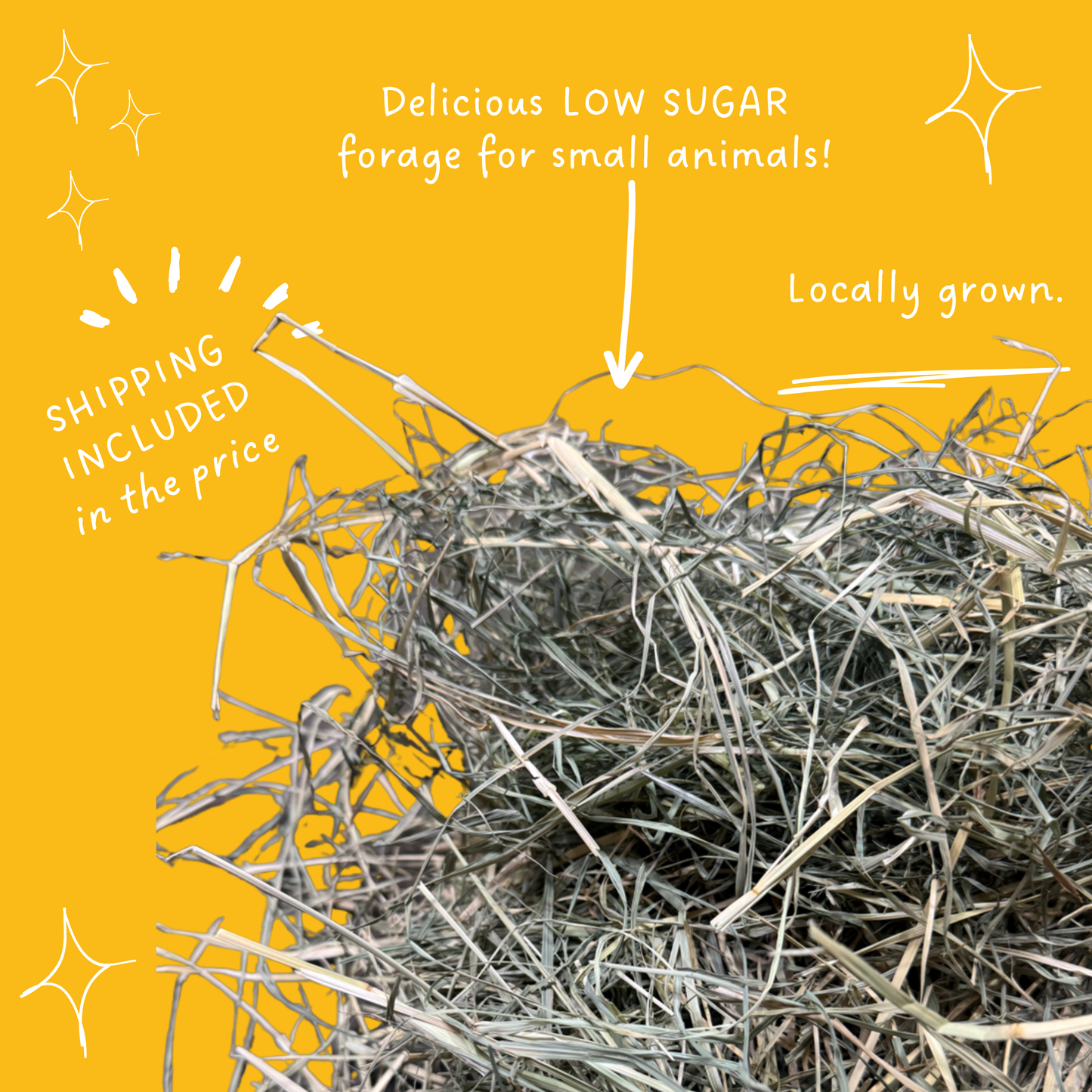 Rhodes Low Sugar Hay for Guinea Pigs & Rabbits